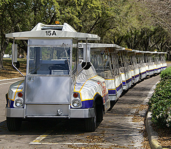 Parking Trams