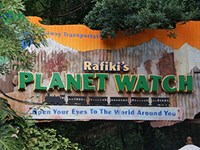 Rafiki's Planet Watch Rafiki's Planet Watch