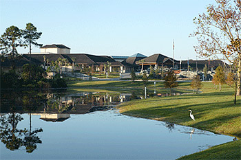 Shades of Green Resort