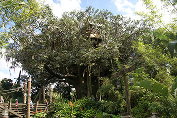 Swiss Family Treehouse