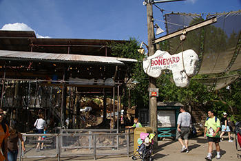 The Boneyard