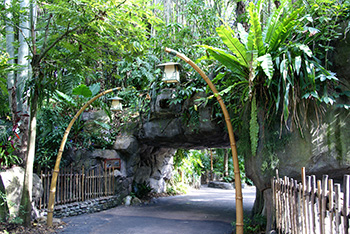 The Oasis