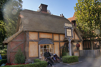 The Tea Caddy