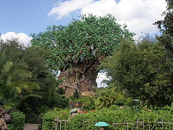 The Tree of Life