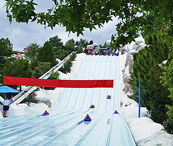 Toboggan Racer