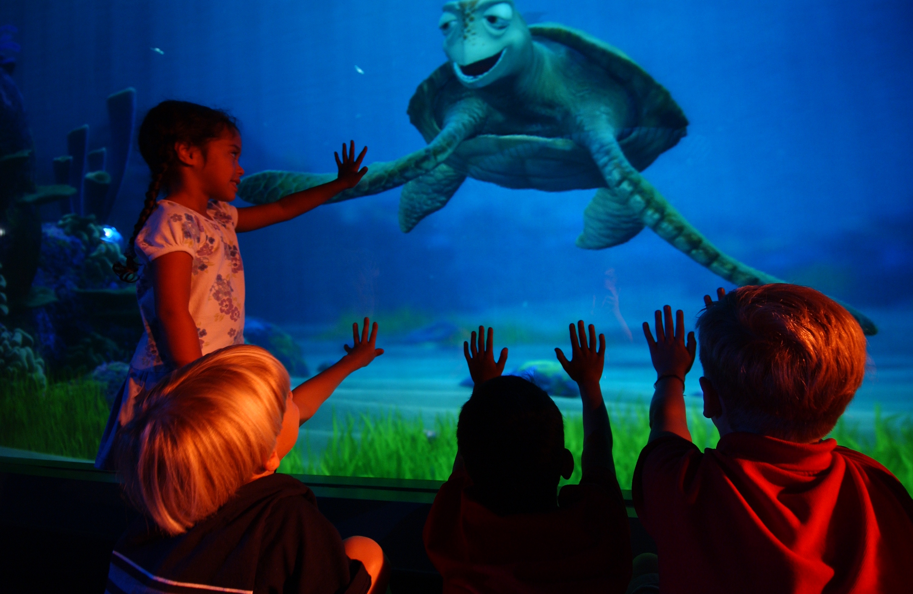 Turtle Talk with Crush