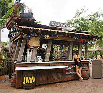 Typhoon Lagoon Coffee