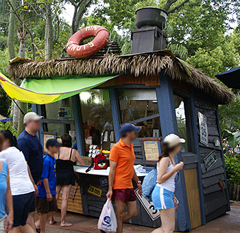 Typhoon Lagoon Mini Donuts
