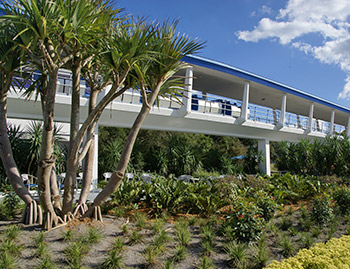 WEDway PeopleMover