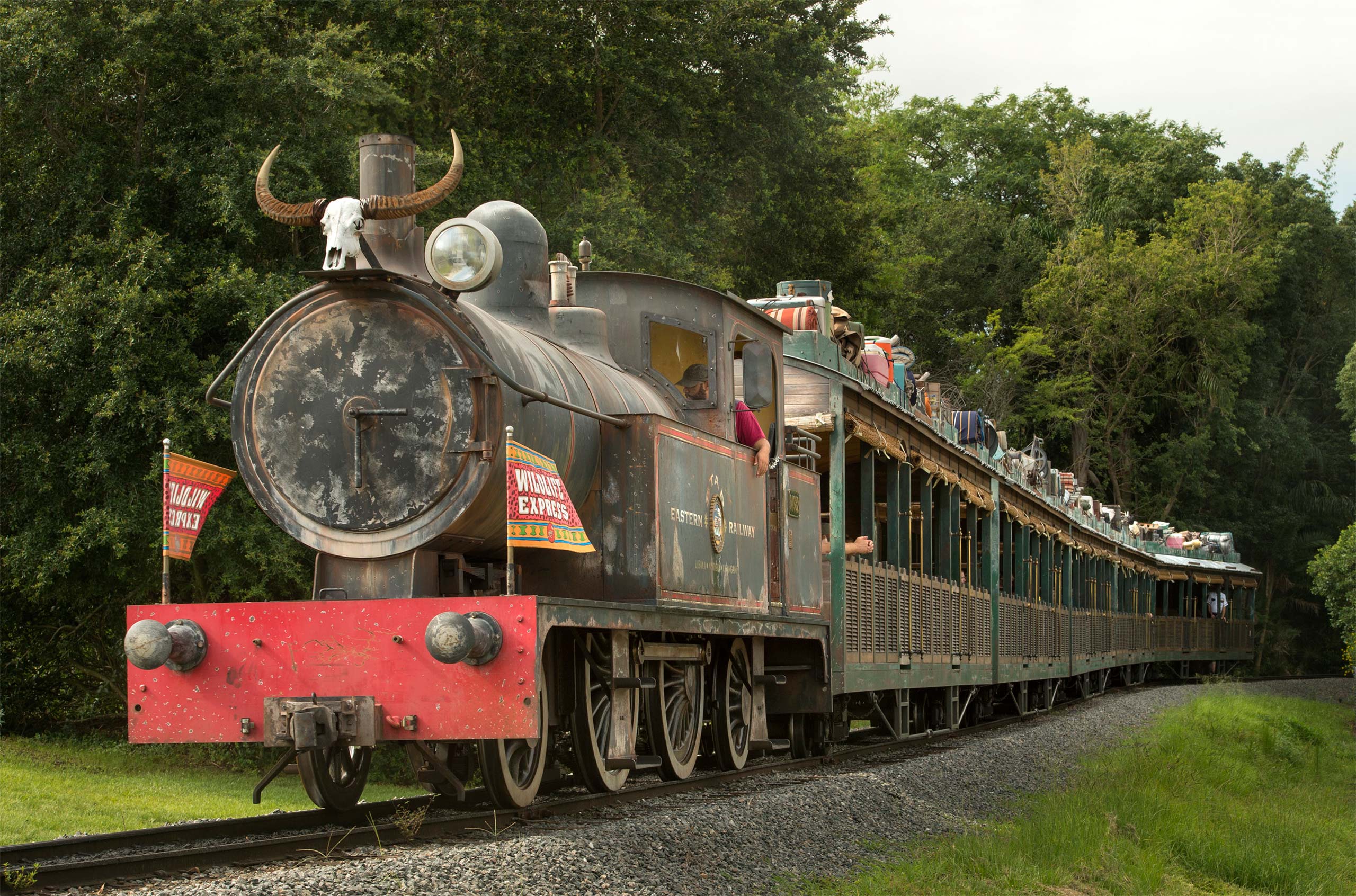 Wildlife Express